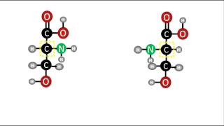 Bioquímica  Enantiómeros D y L de los aminoácidos [upl. by Iuq]