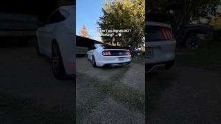 S550 Euro Turn Signals NOT Working 🏎️💨  Mustang Clears [upl. by Nytsirt]