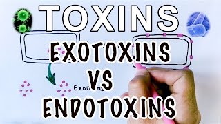 Overview of Toxins  Exotoxins Vs Endotoxins [upl. by Ttirb]