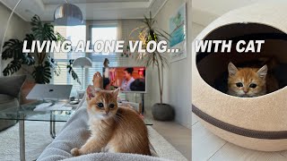 VLOG  아기고양이 입양 🐈  초보집사 적응기장화 신은 고양이가 내게 왔따  설레는 입양준비 용품 언박싱📦 일상 브이로그 [upl. by Dombrowski]