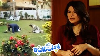 Mehmood Sahab Ne Khazane Ke Chakkar Mein Bulbulay House Khod Diya 🤓🤓 Momo  Bulbulay [upl. by Frederigo]