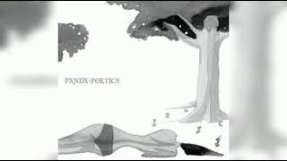 PXNDX  Adheridos Separados Demo Unplugged Cover [upl. by Noivart]