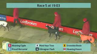 Crayford Greyhounds Races on 9th January 2024 [upl. by Belldas]