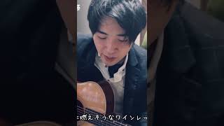 【ワインレッドの心安全地帯 Cover by Sho】ギター弾き語りワインレッドの心安全地帯玉置浩二井上陽水歌ってみたギター弾き語り [upl. by Ahseniuq]