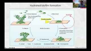 Salmonella enterica Dry Surface Biofilms and the Need for New Sanitation Practices in Foodservice [upl. by Small823]