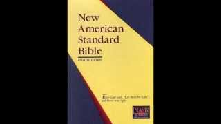 The Book of Job NASB Audio Bible Non Dramatized [upl. by Hollah]