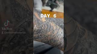 My tattoo healing process from day 1 to day 12 🔥 [upl. by Nhaj]