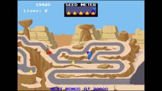 Road Runner  Arcade [upl. by Burns]