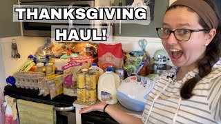 Best Deals OF THE YEAR  HUGE Aldi Grocery Haul [upl. by Gone]