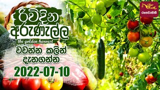 Rividina Arunella  වවන්න කලින් දැනගන්න  20220710  Agriculture Programme [upl. by Zetneuq556]