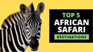 AFRICAN SAFARI DESTINATIONS  Top 5 Most Popular with prices [upl. by Arbe]