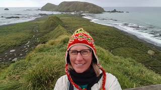 Macquarie Island Cruise with Sherry Ott  Heritage Expeditions [upl. by Selec]