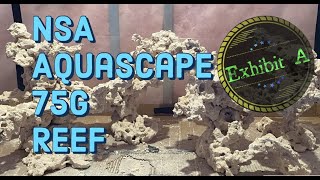 NSA Aqua Scape for my 75g Reef Aquarium [upl. by Nadab564]