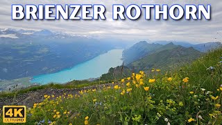 Brienzer Rothorn Walking Tour  🇨🇭 Swiss Alps View With Caption [upl. by Tima]