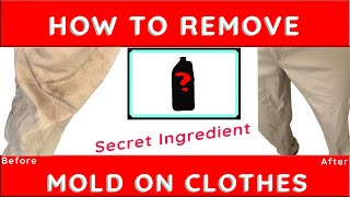 How To Remove Mold on Clothes [upl. by Ilah448]