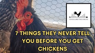 7 Things They Never Tell You Before You Get Chickens [upl. by Magnusson265]