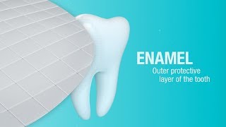 How Does Pronamel® Toothpaste Help Strengthen Enamel  Pronamel® [upl. by Ronni]