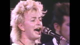 Brian Setzer  The Knife Feels Like Justice Live 1986 [upl. by Alletnahs]