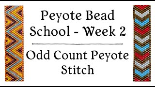 Odd Count Peyote Stitch  Peyote Bead School  Week 2 [upl. by Eatnahs]