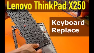 Lenovo ThinkPad X250  How To Replace Keyboard on Lenovo 250 [upl. by Carpenter523]