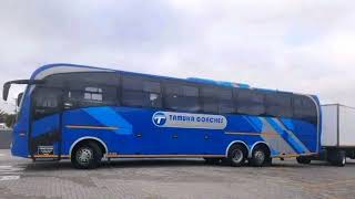 Tamuka coaches from south African to Zimbabwe [upl. by Asnarepse]