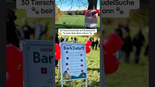 30 Tierschutzhunde auf RudelSuche beim Bark Date in Bonn adoptdontshop dogrescueshelter rescuedog [upl. by Sheffie]