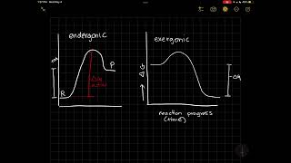 Exergonic vs endergonic reaction diagrams [upl. by Thaine730]