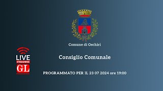 Consiglio Comunale del 23 07 2024 [upl. by Sobmalarah535]