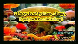 Life Cycle of Pythium Albugo Erysiphe Clavicepe Ustilago and Puccinia Fungi botanywithyoutube [upl. by Glenna]