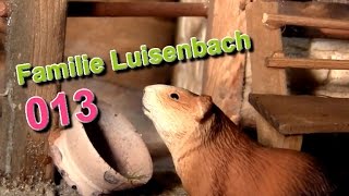 Pferdestall für Schleich Pferde  GUTSHOF LUISENBACH 013  Meerschweinchen amp Co [upl. by Mundford]