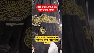 আল্লাহর ২টি নাম ৩বার পড়ুনসাথে সাথে ১জন ফেরেশতা আপনার জন্য নিযুক্ত হবে।dua islamicprayer shorts [upl. by Priscella]