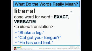 Literal vs Nonliteral Words  3rd Grade Reading  eSpark Instructional Video [upl. by Duff]