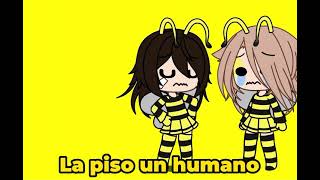 Las abejas se Comunican Bailando Meme [upl. by Phedra]