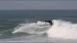 Dane Reynolds Hurley Pro 2013 Trials [upl. by Ilsel261]