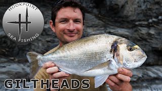 Open Coast Fishing for Gilthead Bream with Ben Conway [upl. by Alverson]