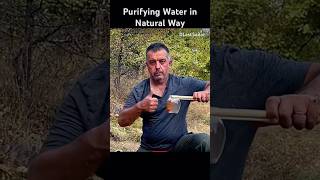 Primitive Water Purification Techniques  How to Purify Water Naturally in the Wild [upl. by Nyrek822]