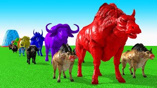 Paint Animals Cow CartoonBuffaloBullyakOxFountain Crossing Animal Game [upl. by Windzer]