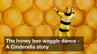 The honey bee waggle dance  A Cinderella story [upl. by Warfold558]