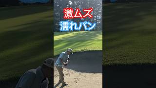 濡れたバンカー難しいですよね‼️ゴルフスイング バンカーショット golfswing [upl. by Frye]