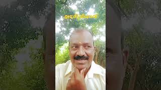 arasi அப்பன் என்ன ஆத்தா என்ன music song shortsvideo [upl. by Armallas]