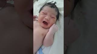 Newborn baby ❤️ 🍼tredingshorts newbornbaby cutebaby shortsfeed babylove babieslife babies [upl. by Retsof554]