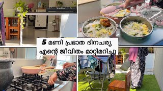 Indian mom daily routine Easy lunch Box recipeVegetable Pulao RecipePulav RecipeMotivation Vlog [upl. by Schrick]