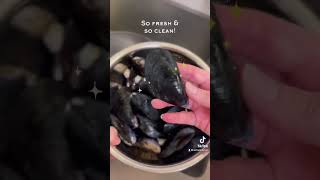 How to Clean Mussels shorts [upl. by Annel229]