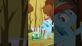 ¡El tanque está listo para hibernar 🍂 My Little Pony en español La Magia de la Amistad shorts [upl. by Etnaihc]