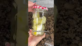 How To Make DIY Garbage Disposal Pods [upl. by Natie]