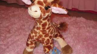 My Webkinz Giraffe Adoption Pics Included [upl. by Willie]