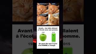 Bruit des croquettes 🤣🤣 drôle memes music rap [upl. by Ellehcsor748]