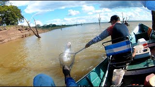 Quanto peixe parece até que estou no pantanal [upl. by Levey845]