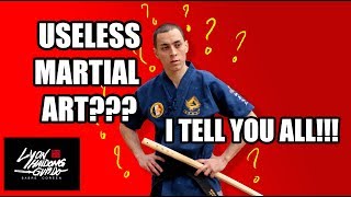 Haidong Gumdo Korean sword useless martial art I tell you all [upl. by Magan]