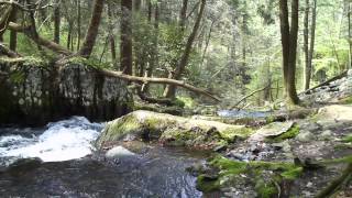 Tillman Ravine  Stokes State Forest  njHikingcom [upl. by Atinnod789]